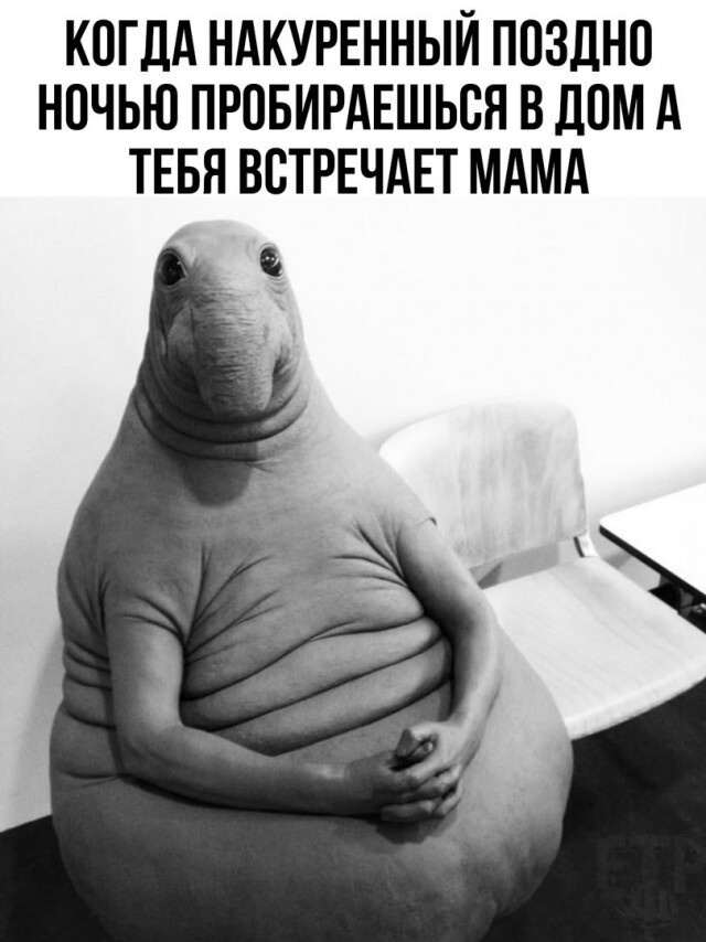  Не совсем светлый юмор