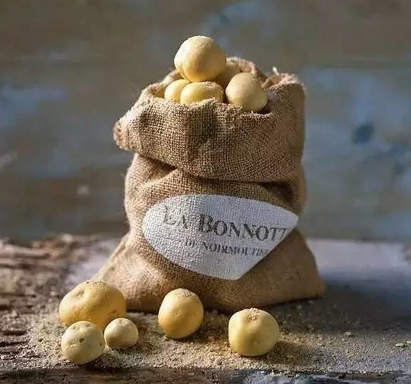 5. Французский картофель "La Bonnotte" занесен в книгу рекордов Гиннесса, его цена за кг более 40 тысяч рублей 
