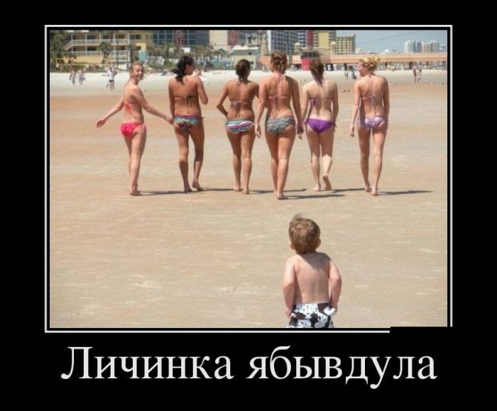 Демотиваторы