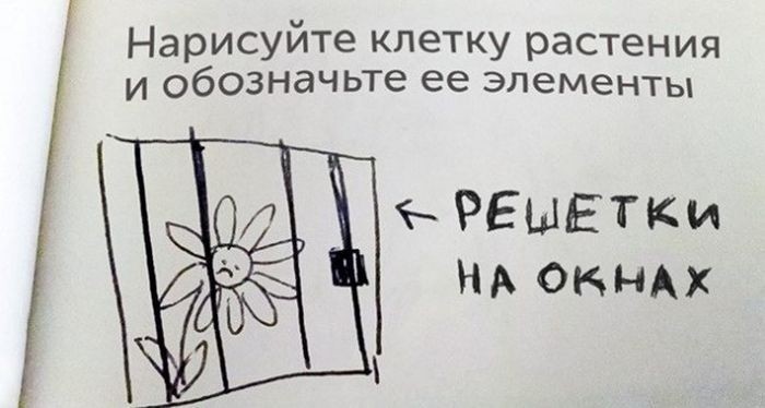 Креативные ответы на задания от студентов и школьников