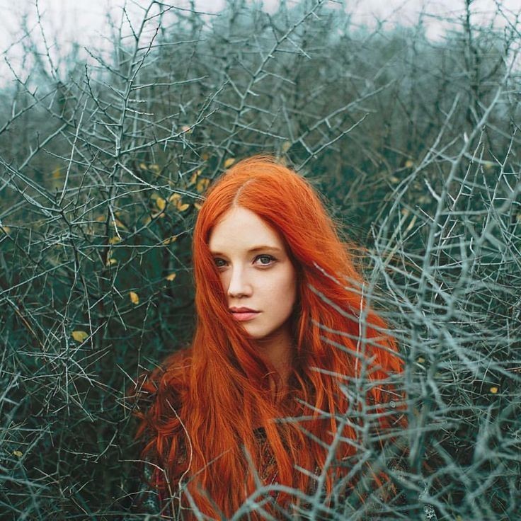  Милые девушки с огненно-рыжими волосами