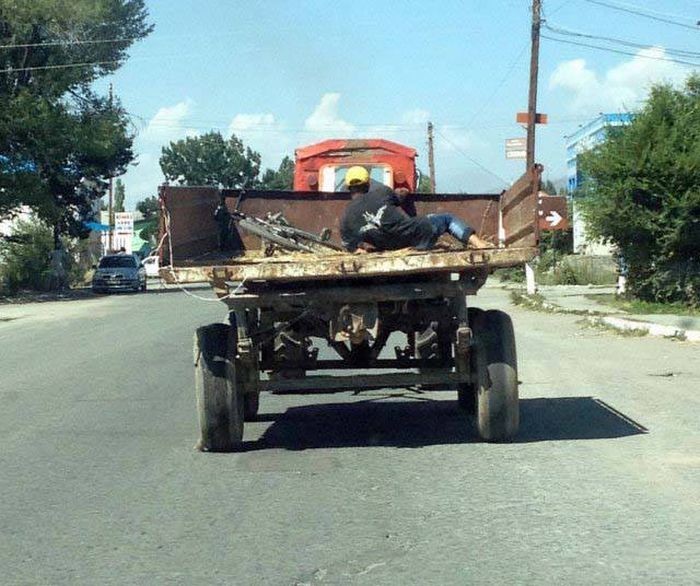  Лентяи высшего уровня