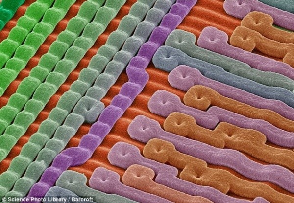 Поверхность кремниевого микрочипа