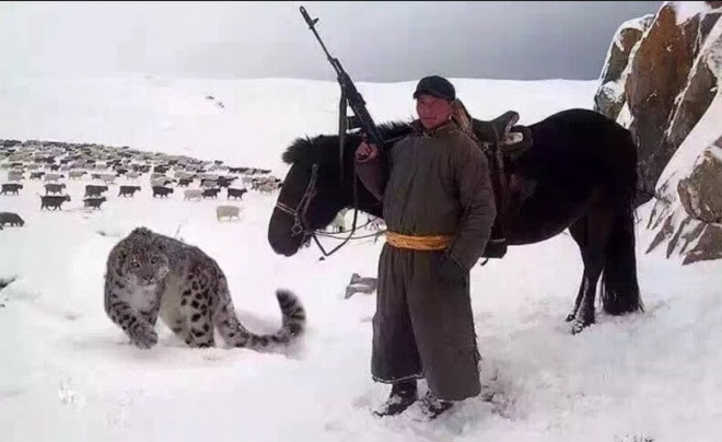 Потрясающая, почти фантастическая история