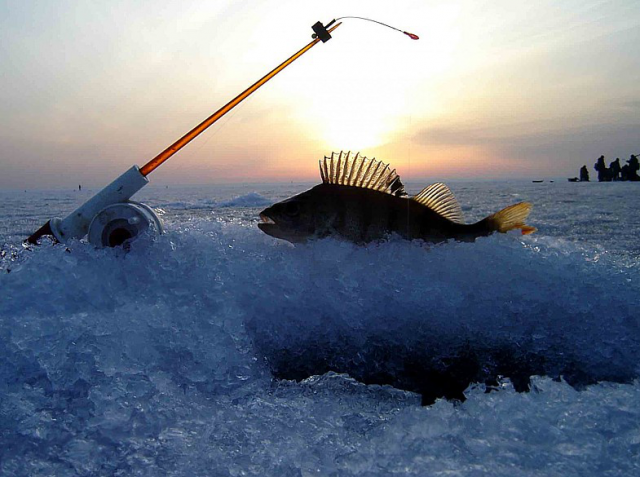 Фестиваль "Байкальская рыбалка"