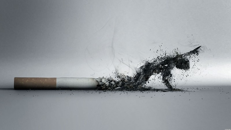 Тайна табачников. Кто и как скрывает от нас состав сигарет