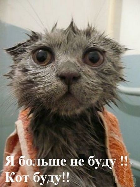 У меня всё. Спасибо, Смотрящим !
