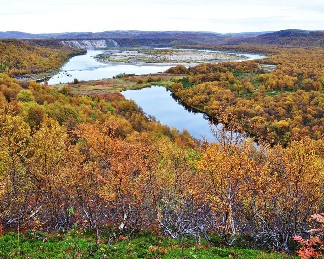 Осенняя пуля