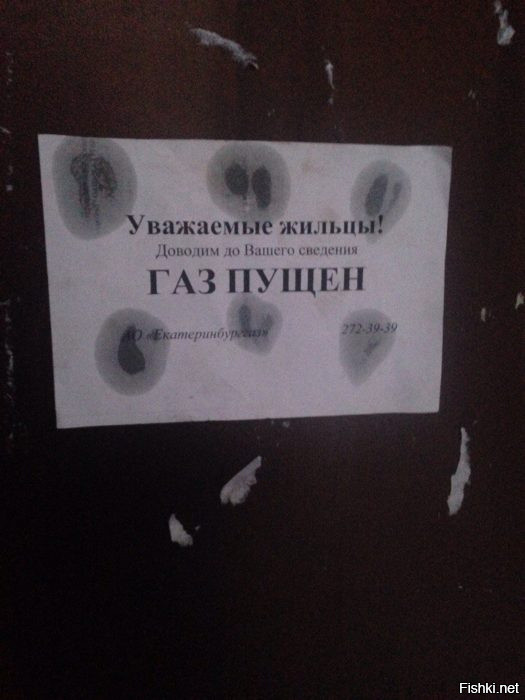Из солянки