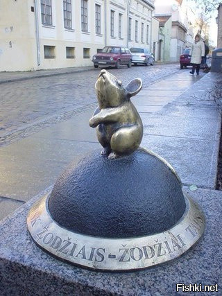 Самый умилительный житель города Клайпеда (Литва) — Волшебный Мышонок