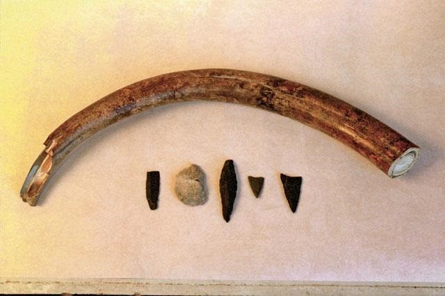 Найдены древнейшие музыкальные инструменты в Мире возрастом 37000 лет