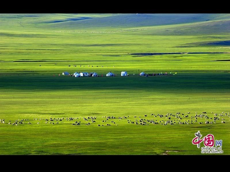  Красивое лето в степи Хулунбуир