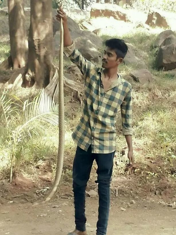 Подросток из Индии скончался после попытки поцеловать кобру для селфи