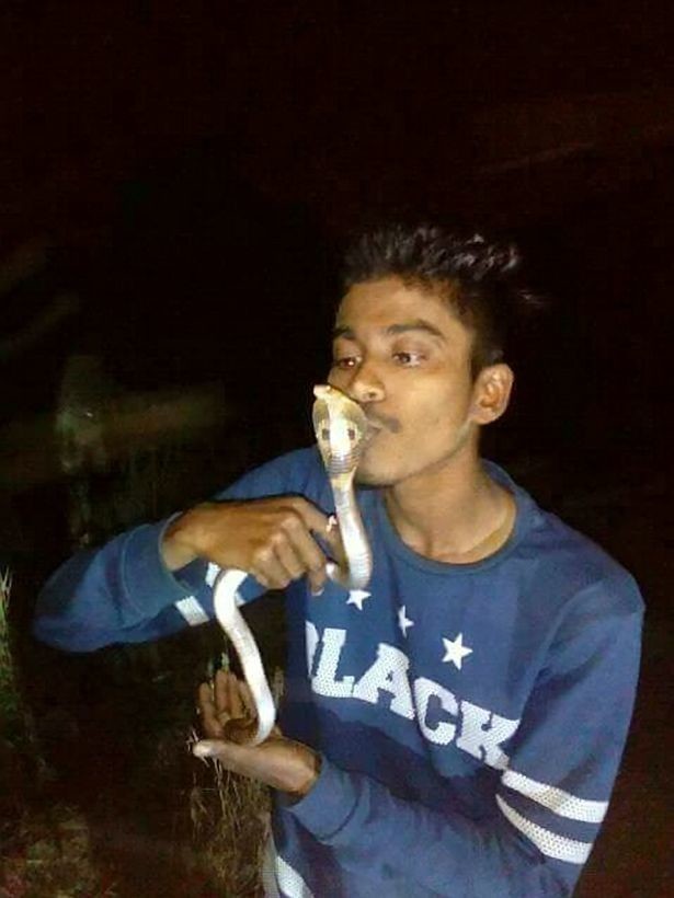  Подросток из Индии скончался после попытки поцеловать кобру для селфи