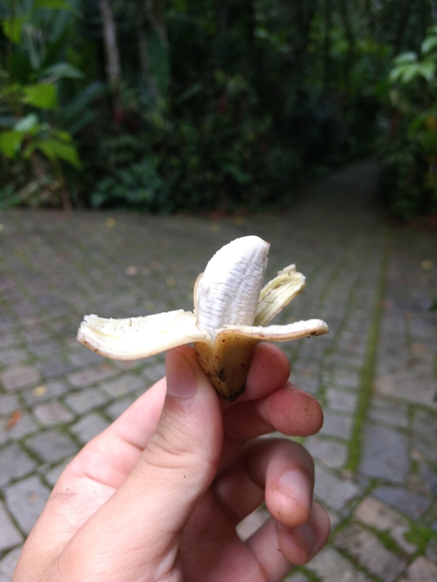 Крошечный банан 