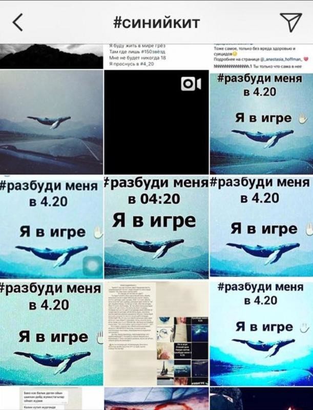 Новые "Группы смерти" в интернете: «Синие киты» провоцируют детей на самоубийства от Незнайка за 12 февраля 2017