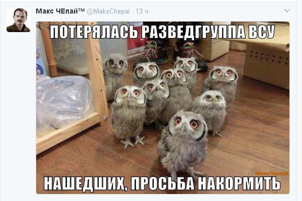 Политические комментарии и картинки из соц. сетей ORIGINAL*  13/02/2017