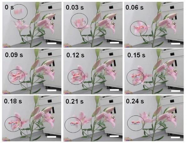 Японские инженеры создали квадрокоптер-опылитель