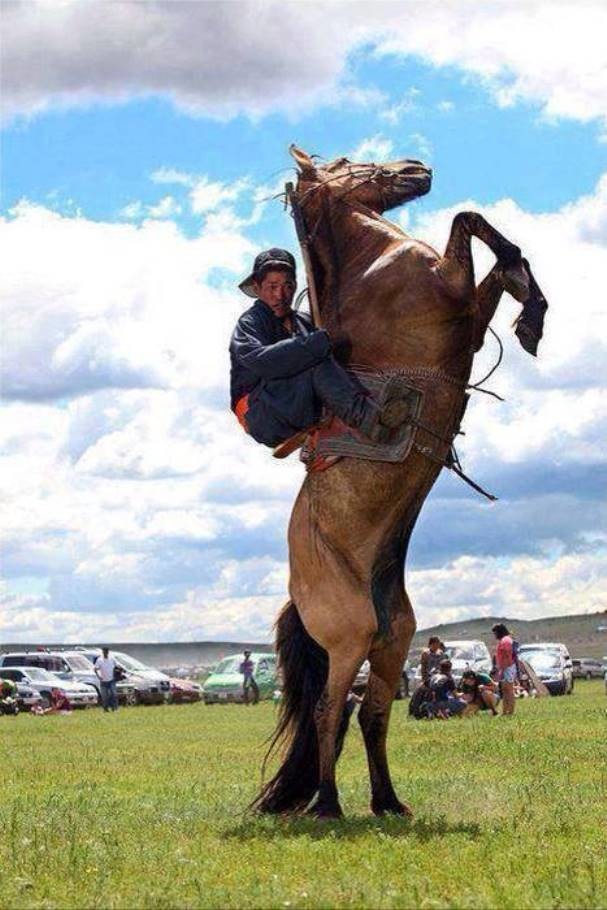 Лошадь в жизни монголов