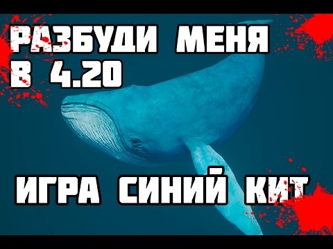 Игра, ведущая к смерти