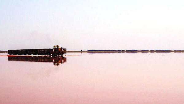 Бурлинское озеро – настоящее украшение Славгорода