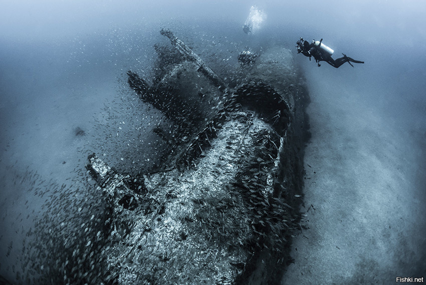 Обломки субмарины U-352