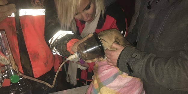 Турецкие спасатели 10 дней доставали щенка из колодца
