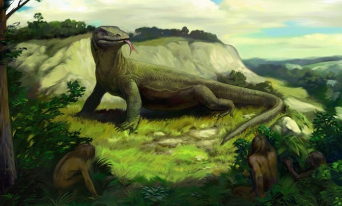 Самая гигантская ящерица в мире, которая не пережила встречи с первыми людьми