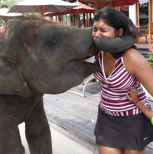 Влюбленный слоник 