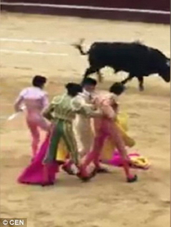 Шок: в Колумбии бык поднял на рога тореадора!
