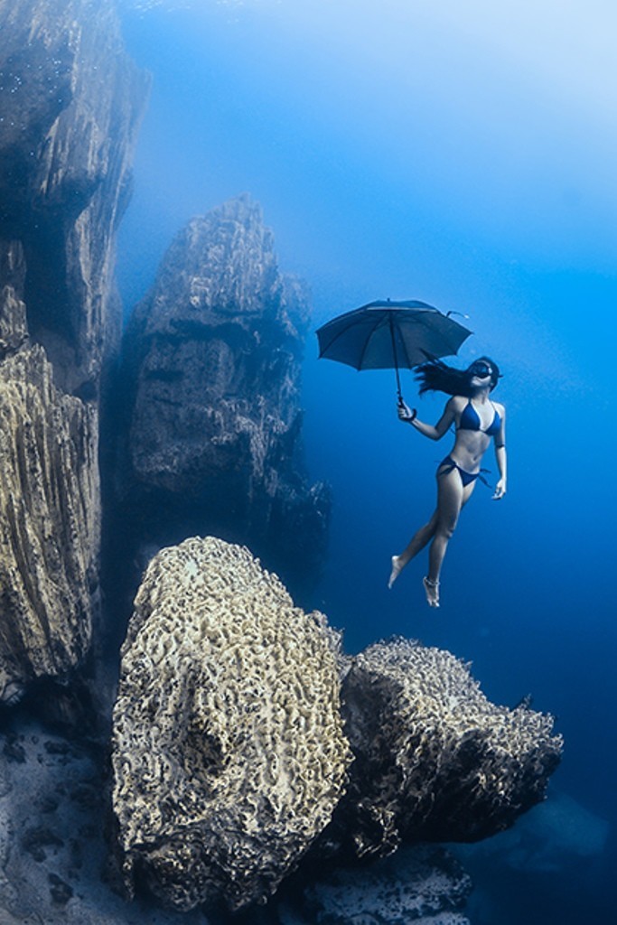 Владыки морей. Фотографы показали необычайные красоты подводного мира