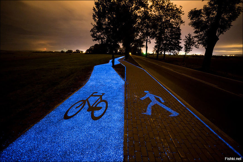 В Польше построили велодорожку, которая в темноте светится мягким синим светом
