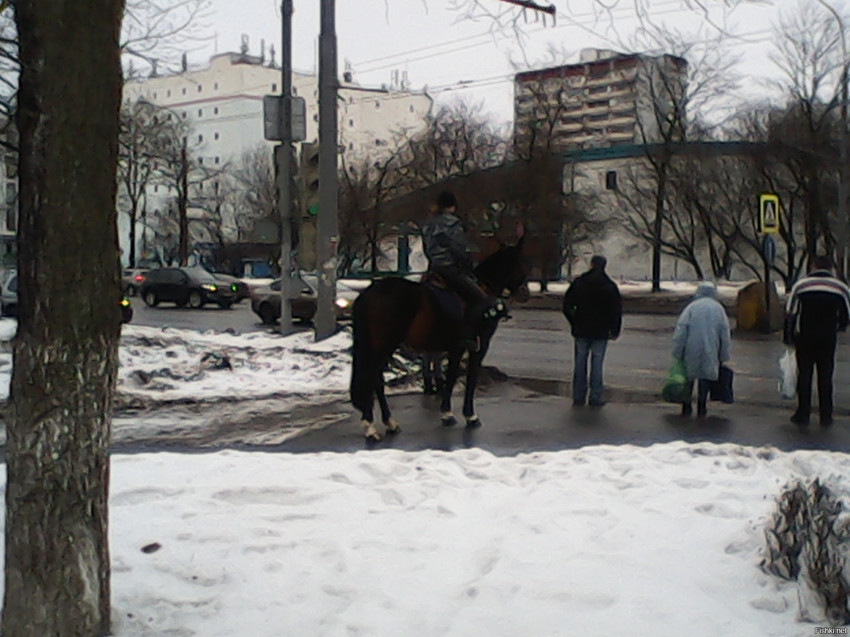 Пешеход в одну лошадиную силу