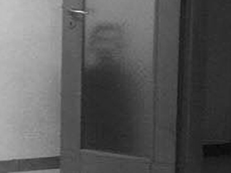 Жуткий силуэт за дверью: фейк или привидение