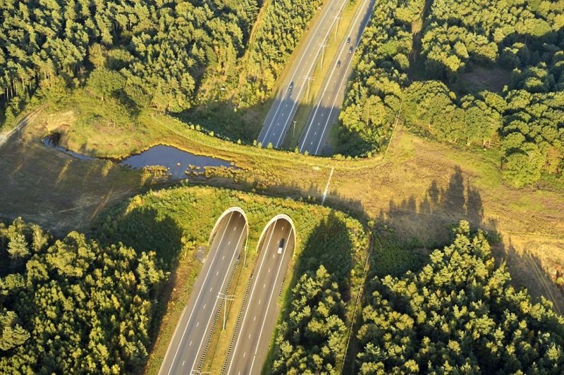 1. Экодук над шоссе, Нидерланды