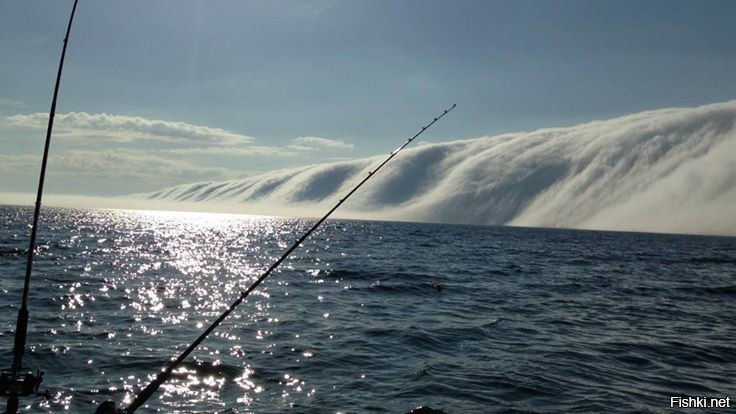 Палыч понял, что это облака, но рыбалка уже была испорчена