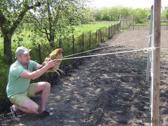 Прикольные мужики