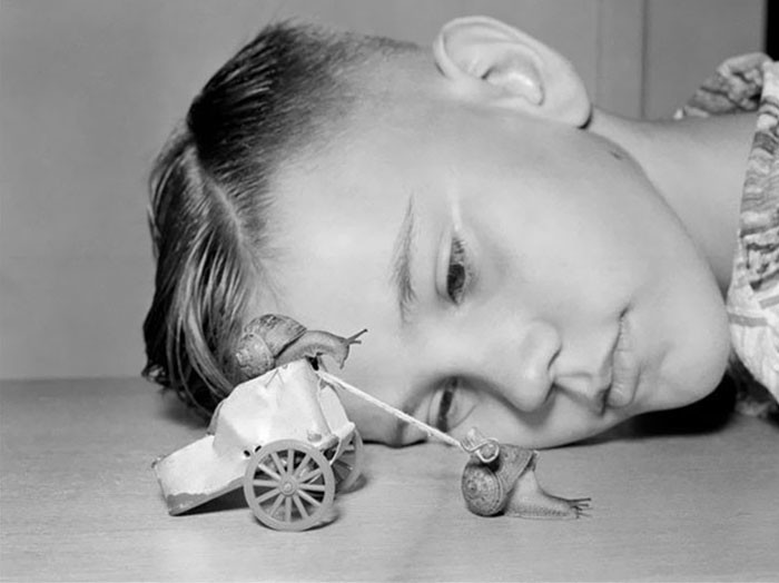 19. 10-летний Мартин наблюдает за гонкой улиток, Калифорния, 1954 год