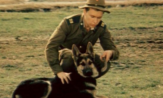 Пограничный пёс Алый (1979)