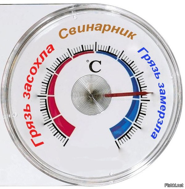 Из солянки от 24.02.2017