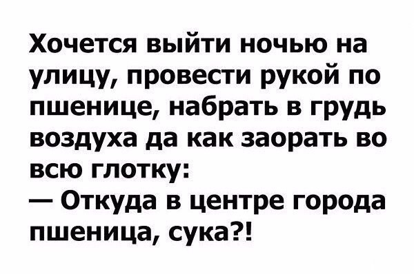 Мудрость приходит с возрастом, но иногда возраст приходит один