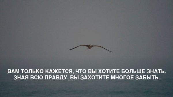 Мудрость приходит с возрастом, но иногда возраст приходит один