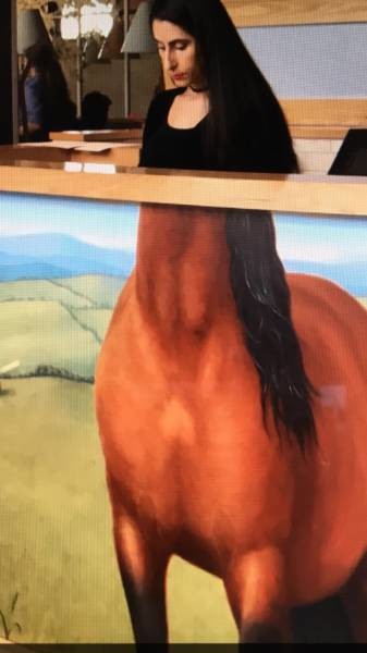 Лошадь на ресепшене 