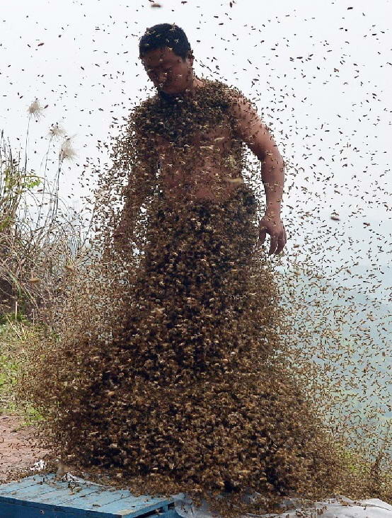 Вы удивитесь, когда узнаете, зачем этот человек ходит в костюме из пчел