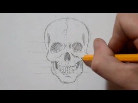 Как нарисовать человеческий череп карандашом  