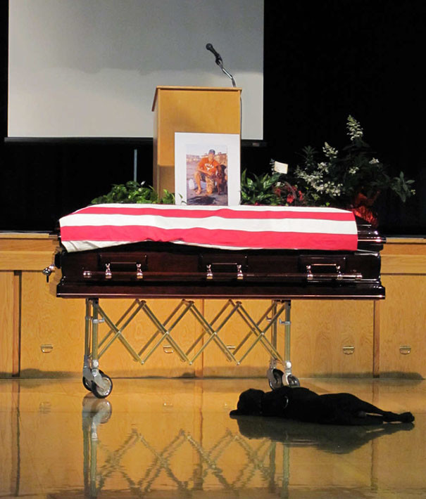 4. Служебный пес, лабрадор-ретривер Хоуки, во время похорон своего хозяина