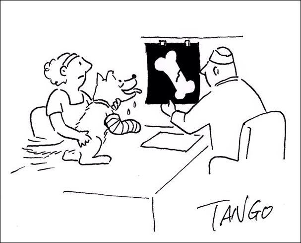 Прикольные рисунки иллюстратора Tango