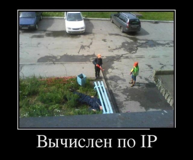 Приколы из сети