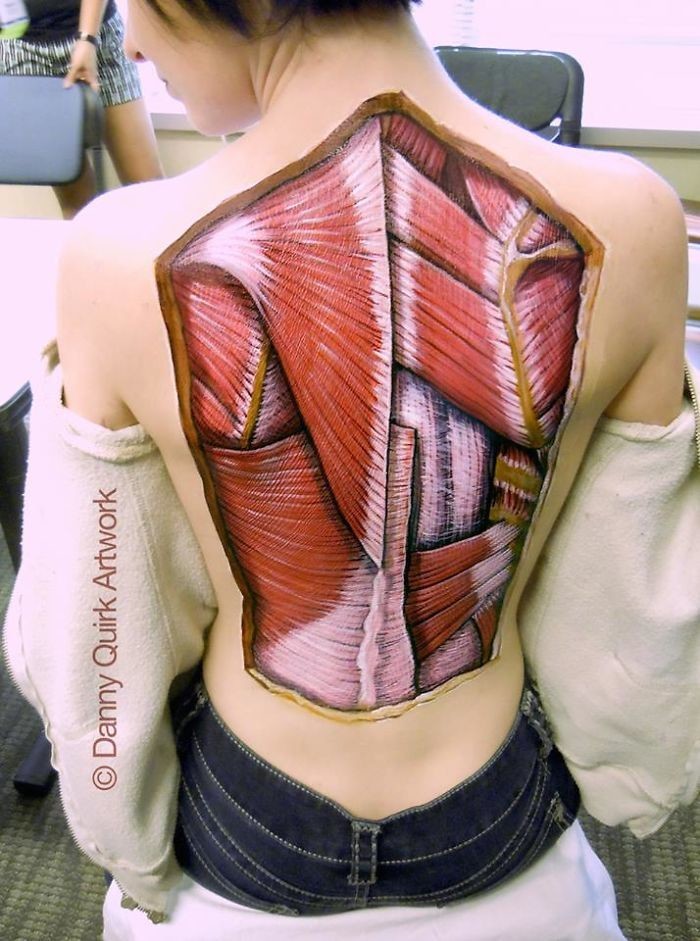 Художник рисует анатомию человека