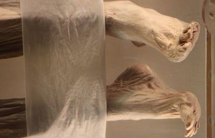 2100-летняя мумия Леди Дай: тайна древнего саркофага